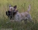 20190804-shl-0155