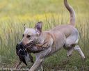 20190804-shl-0156