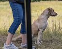 20190804-shl-0172