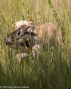 20190804-shl-0182