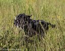 20190804-shl-0537