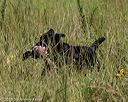 20190804-shl-0792
