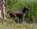 20190804-shw-0016