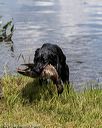 20190804-shw-0443
