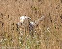 20191005-wcl-0007