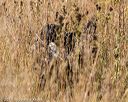 20191005-wcl-0036