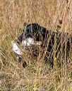 20191005-wcl-0070