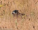 20191005-wcl-0078