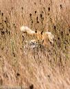 20191005-wcl-0143