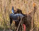 20191005-wcl-0199