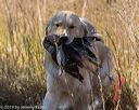 20191005-wcl-0247