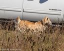 20191005-wcl-0298