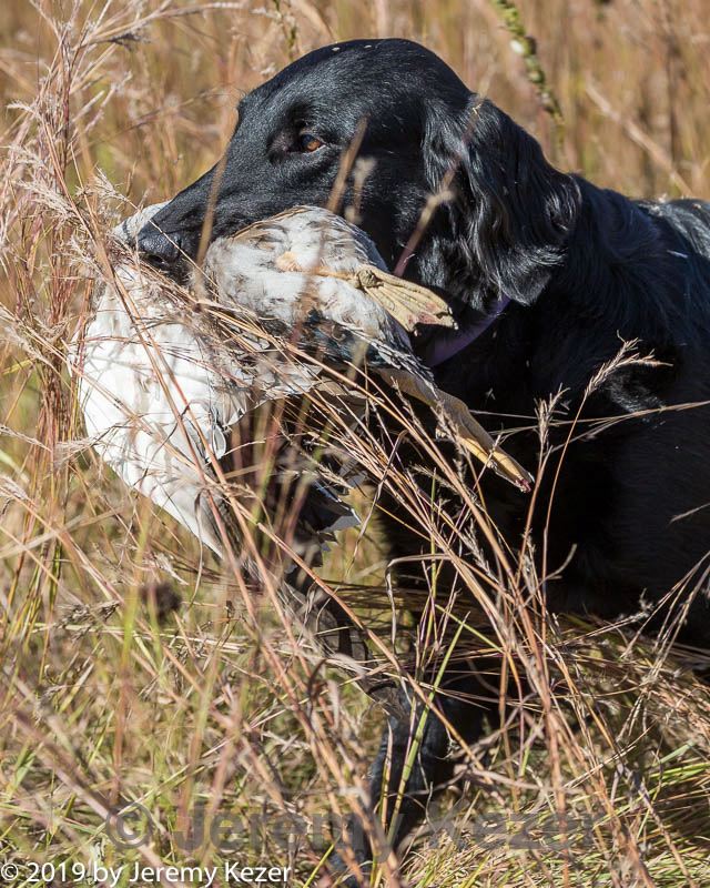 20191005-wcl-0076.jpg