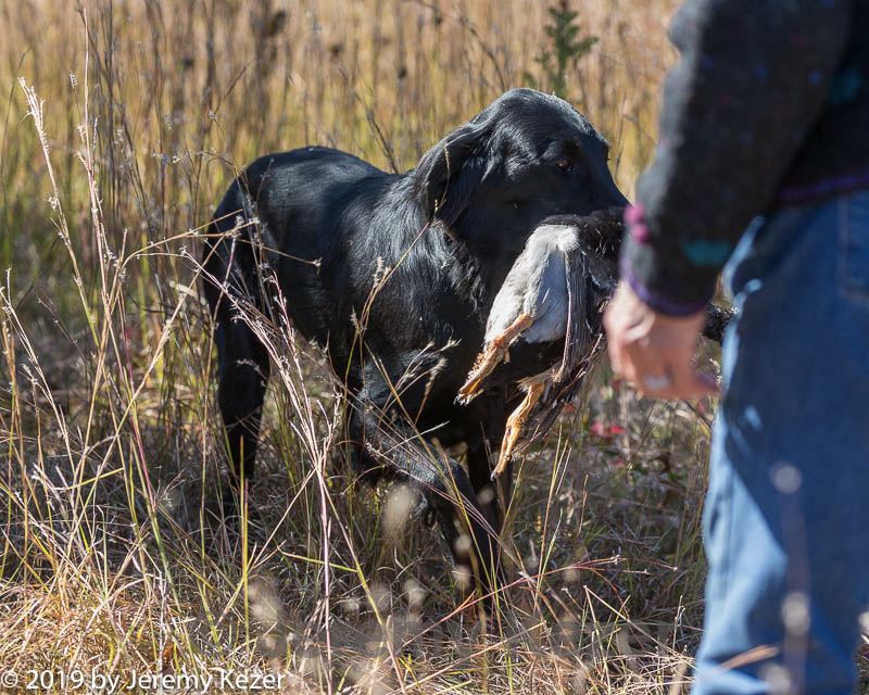 20191005-wcl-0086.jpg