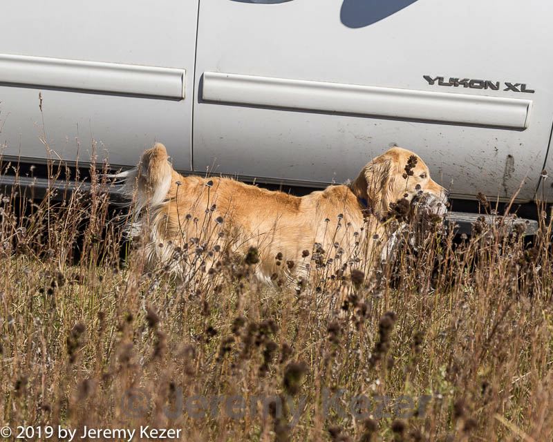 20191005-wcl-0298.jpg