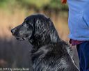20191005-wcxl-0003