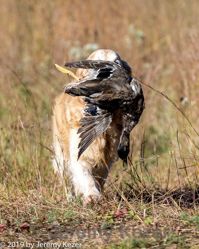 20191005-wcxl-0248.jpg