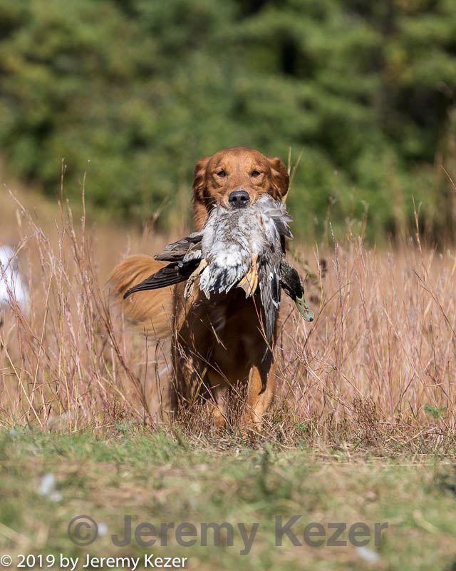 20191005-wcxl-0311.jpg