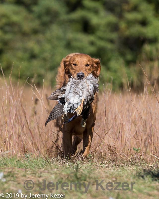 20191005-wcxl-0314.jpg