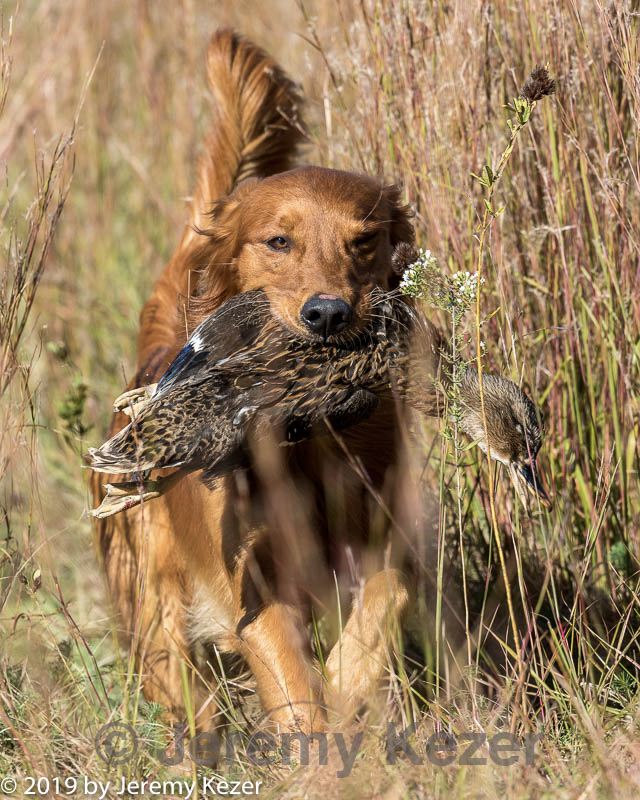 20191005-wcxl-0366.jpg