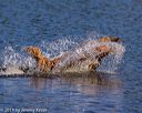 20191005-wcxw-0052