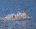 20191005-wcxw-0145