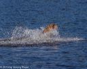 20191005-wcxw-0239