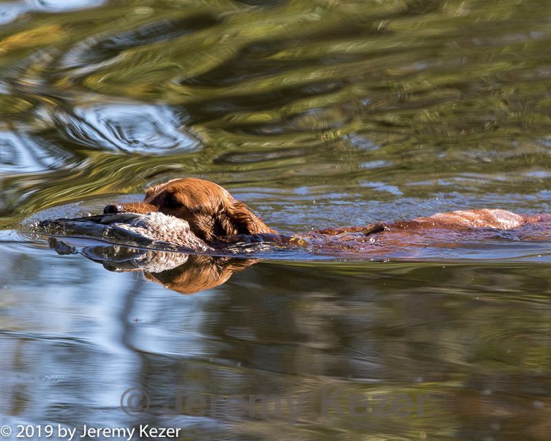 20191005-wcxw-0112.jpg