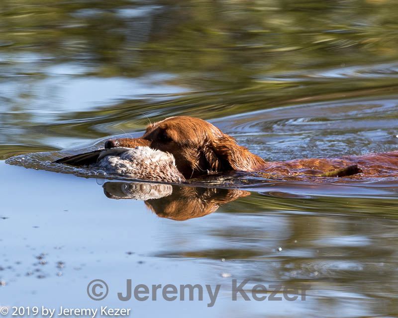 20191005-wcxw-0114.jpg