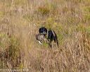 20191013-peewee-0013