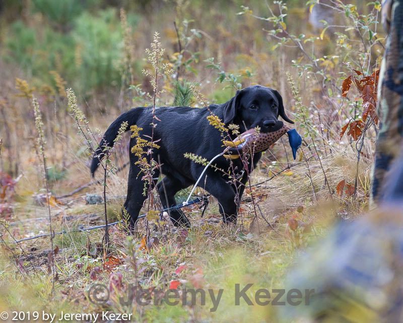 20191013-peewee-0007.jpg