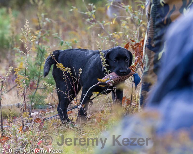 20191013-peewee-0008.jpg