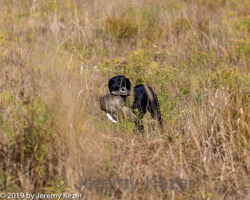 20191013-peewee-0013.jpg