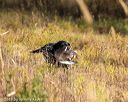20191013-vetl-0012