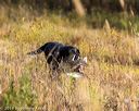 20191013-vetl-0014