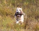 20191013-vetl-0046