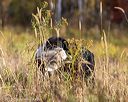 20191013-vetl-0057