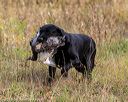 20191013-vetl-0083