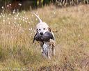 20191013-vetw-0065