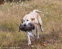20191013-vetw-0069