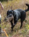 20191013-wcil-0200
