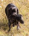 20191013-wciw-0109