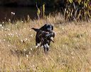 20191013-wciw-0179