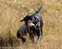 20191013-wciw-0231