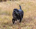20191013-wciw-0290