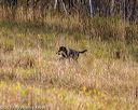 20191013-wcl-0074