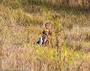 20191013-wcl-0106