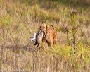 20191013-wcl-0109