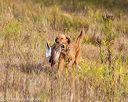 20191013-wcl-0110