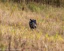 20191013-wcl-0136